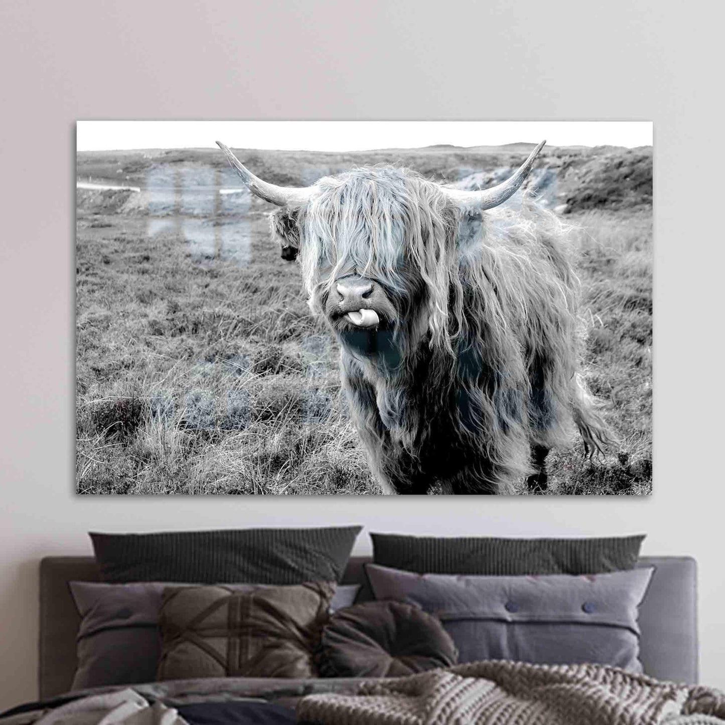 Scottish Highland Bull Glass Wall Art