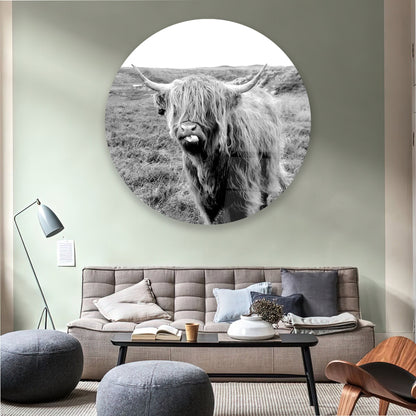 Scottish Highland Bull Glass Wall Art