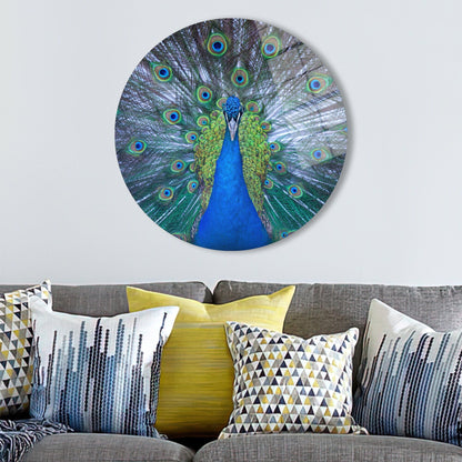 Blue Peacock Glass Wall Art