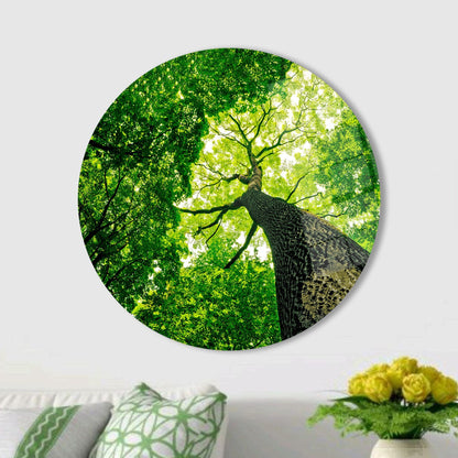 Green Old Tree Design Glass Wall Art