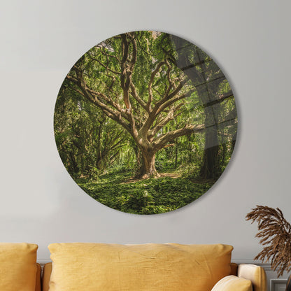 Green Nature-inspired Printing Forest Glass Wall Art