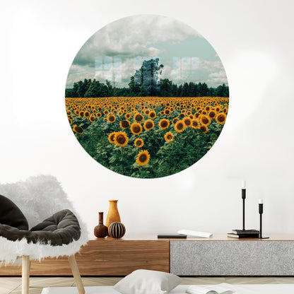 Sunflower Field Landscape Her Glass Wall Art
