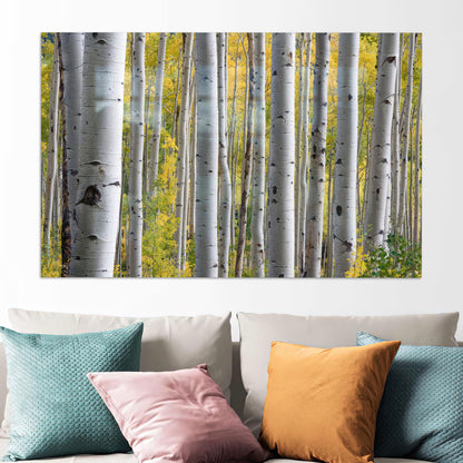 Birch Grove Forest Tree Glass Wall Art