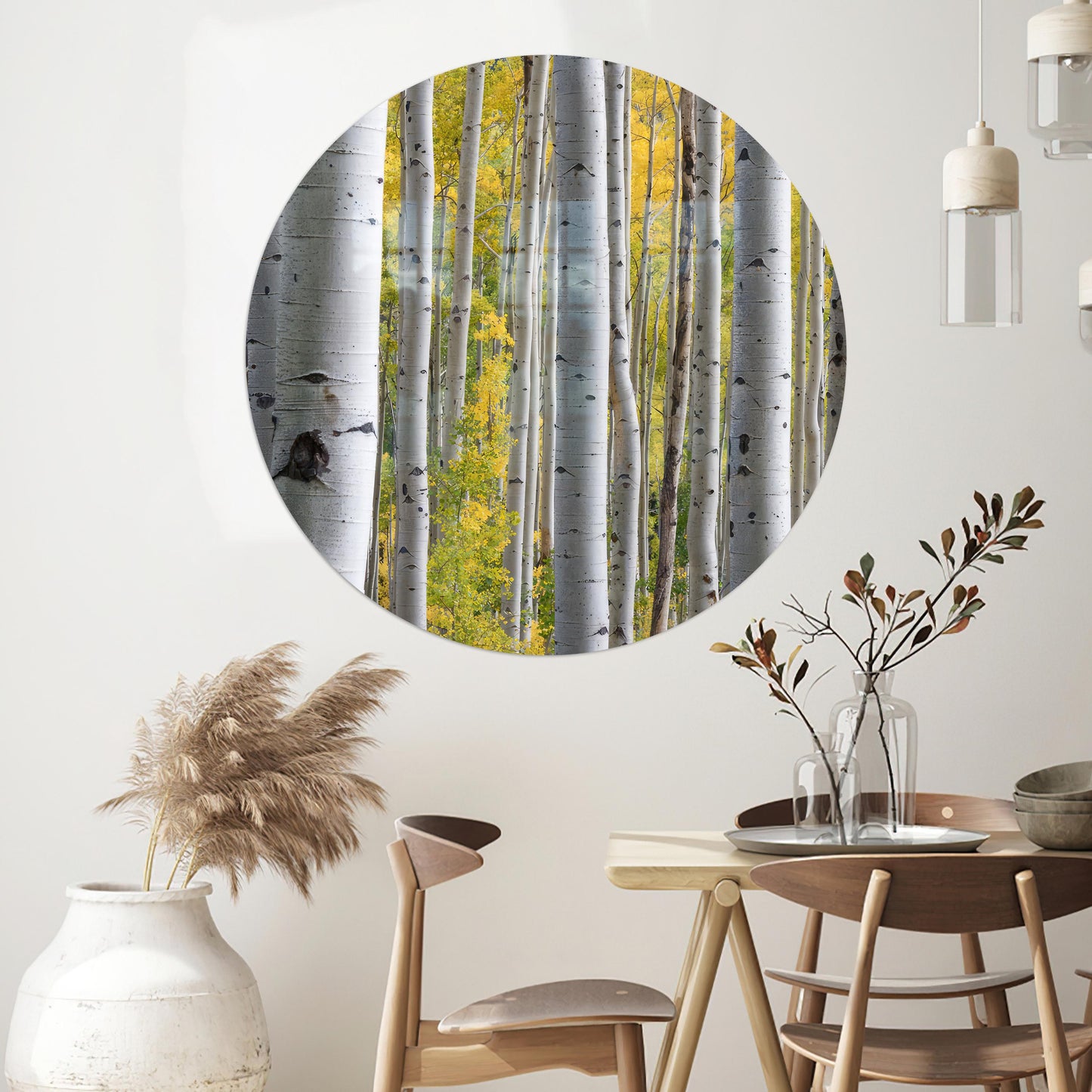 Birch Grove Forest Tree Glass Wall Art