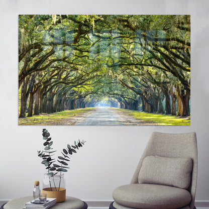 Stunning Line Oak Trees Glass Wall Art