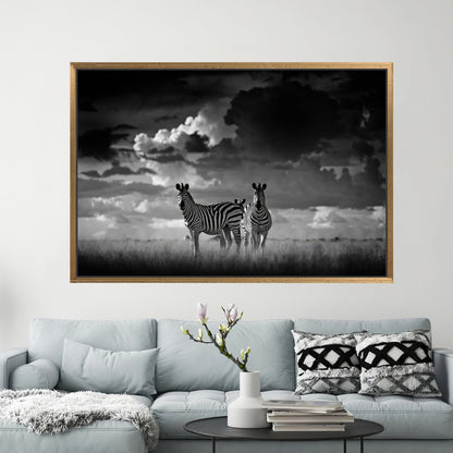 Black and White Zebra African Canvas Print