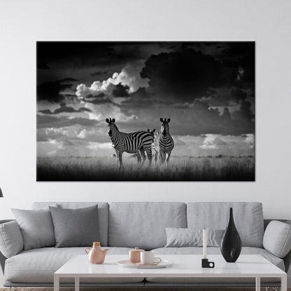 Black and White Zebra African Canvas Print