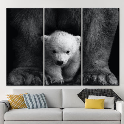 Baby Polar Bear Wild Photography Canvas Print