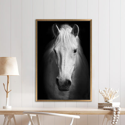 White Horse Lovers Canvas Print