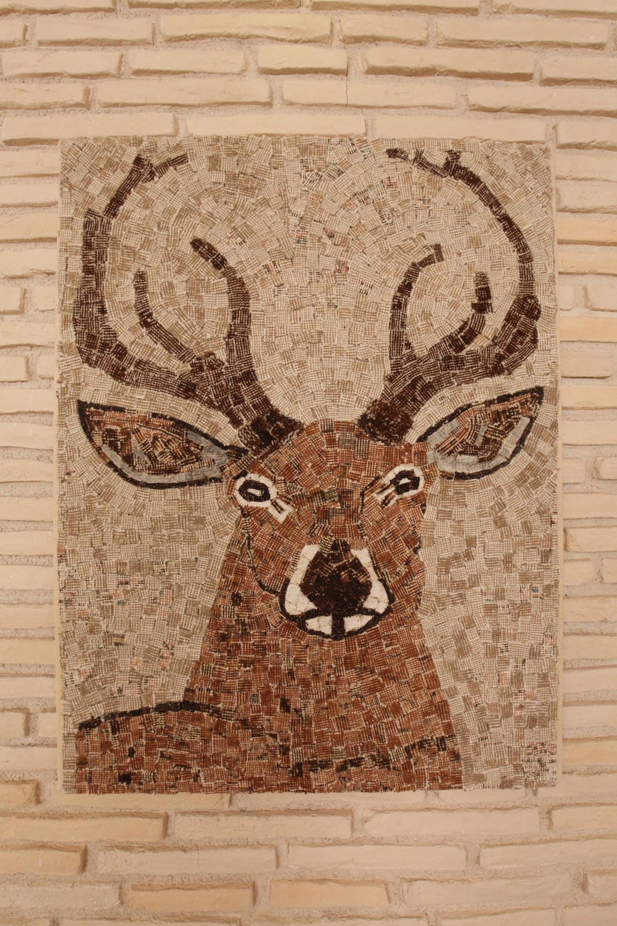 Deer